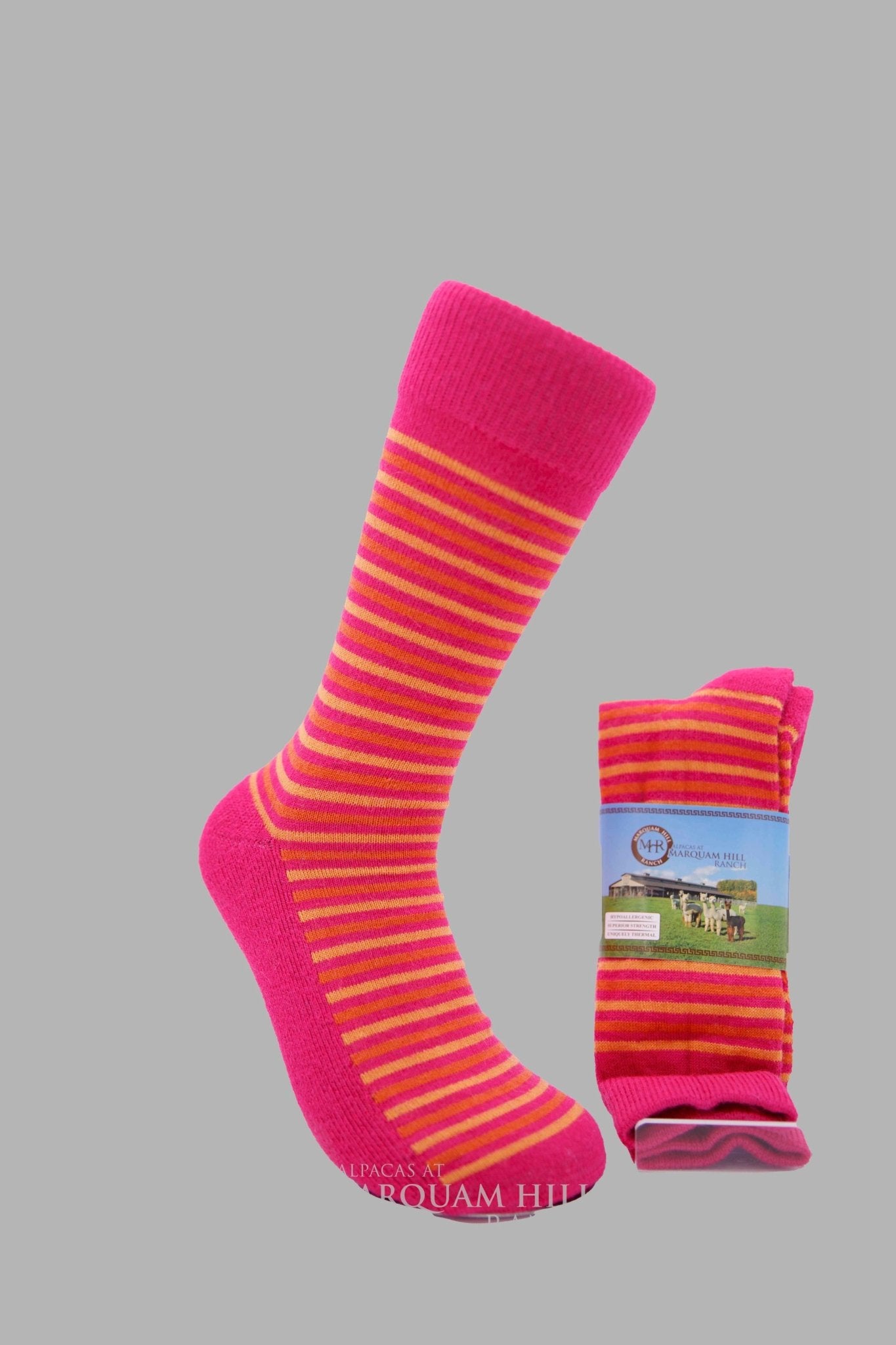 MHR 70% Superfine Alpaca Sock Fiesta-3/4 Crew - Alpacas at Marquam Hill Ranch LLC