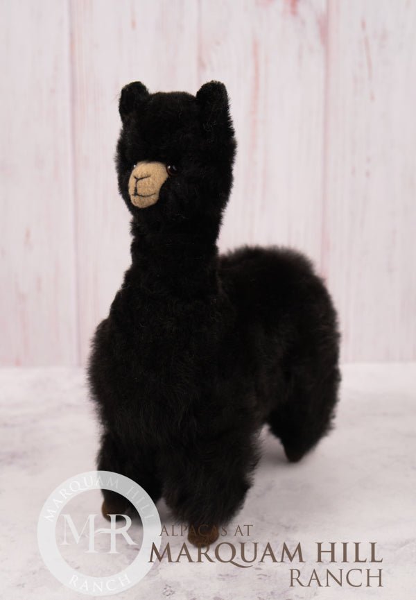 MHR Fur Alpaca - Large-Black - Alpacas at Marquam Hill Ranch