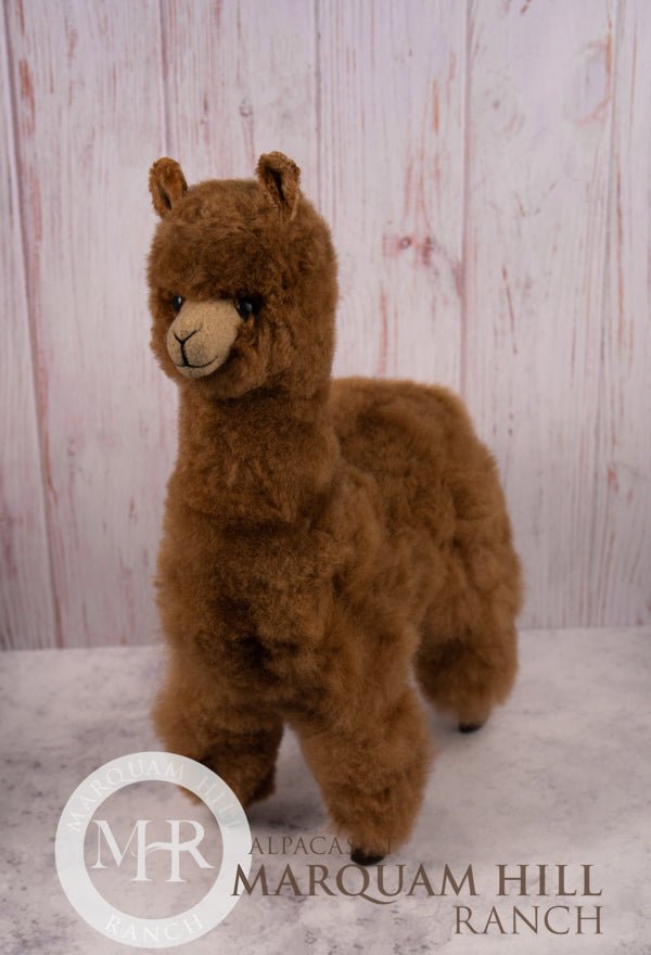 MHR Fur Alpaca - Large-Brown - Alpacas at Marquam Hill Ranch